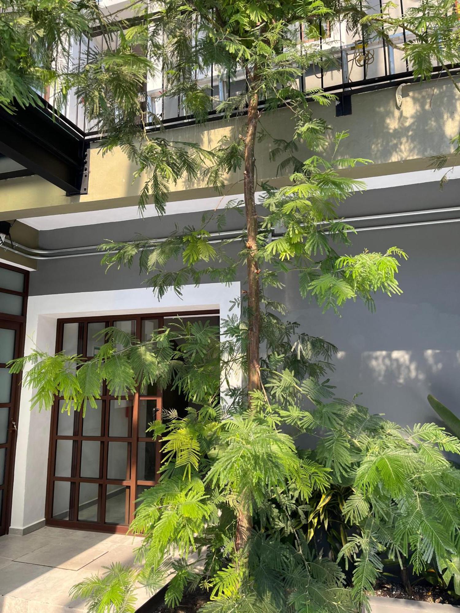 Eonia Hotel อัทลิซโก ภายนอก รูปภาพ